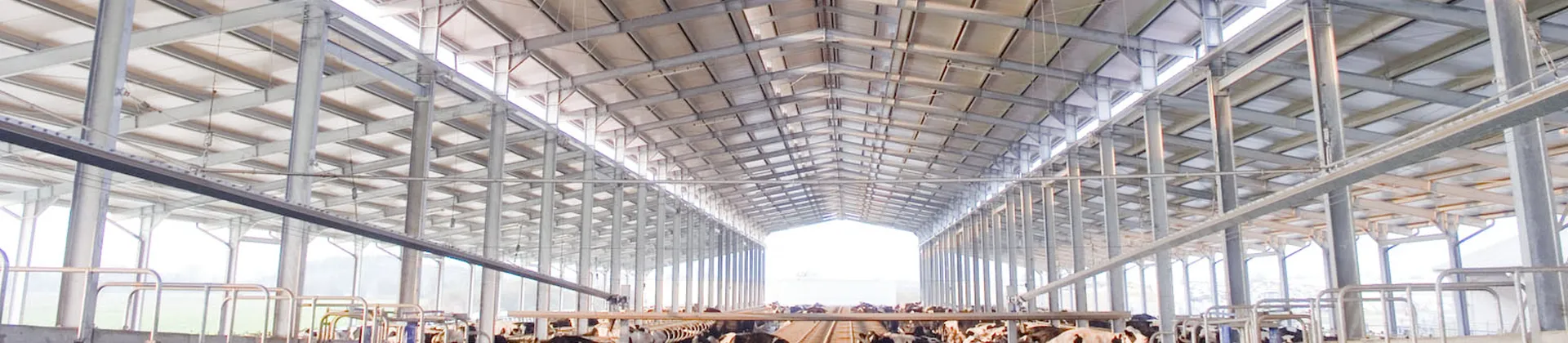 Construcción en suelo rústico - naves agrícolas o ganaderas Construcción en suelo rústico - naves agrícolas o ganaderas
