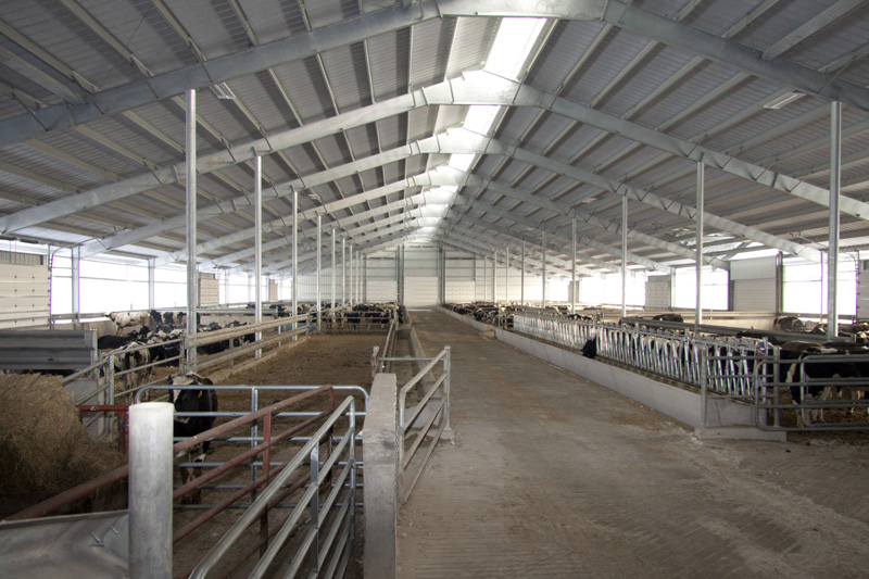 Nave ganadera prefabricada con Agropanel y estructura metálica Nave ganadera prefabricada con Agropanel y estructura metálica