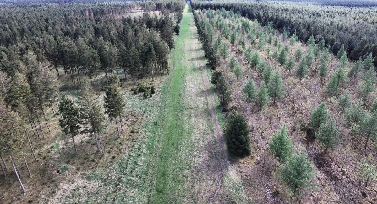 Cortafuegos forestal como medida preventiva contra incendios en zonas rurales Cortafuegos forestal como medida preventiva contra incendios en zonas rurales
