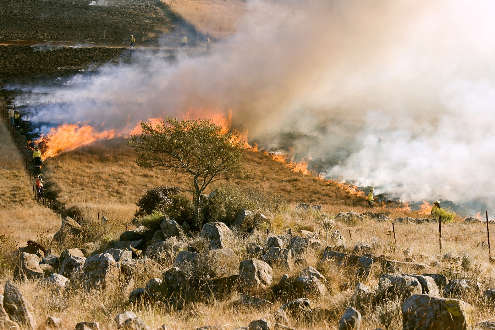 Importancia de la limpieza del monte en la construcción rural para evitar incendios Importancia de la limpieza del monte en la construcción rural para evitar incendios