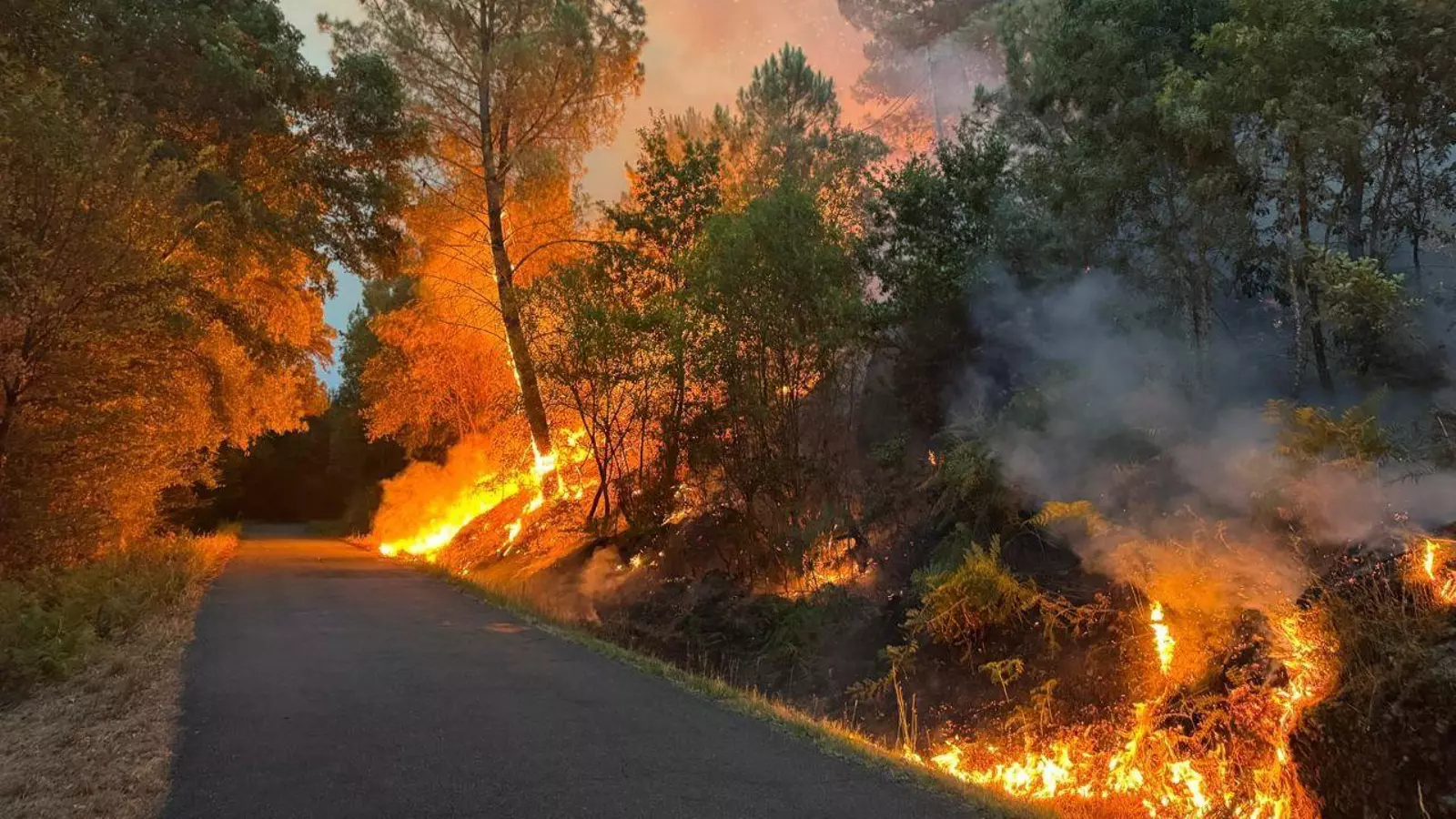 Oleada de incendios forestales en Ourense 2025: amenaza a la construcción rural