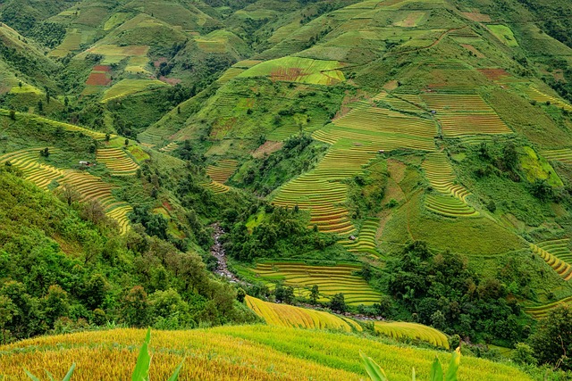 Pendiente del terreno agrícola: cómo las terrazas evitan la erosión y aumentan la productividad Pendiente agrícola con terrazas naturales que mejoran la retención de agua y evitan la erosión del suelo