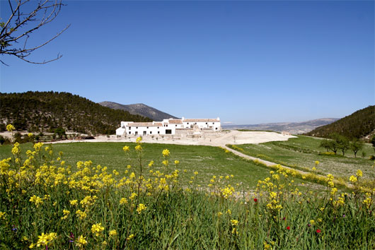 Arquitectura vernácula contemporánea en España: rehabilitación rural sostenible en Cortijada Los Gázquez, Andalucía