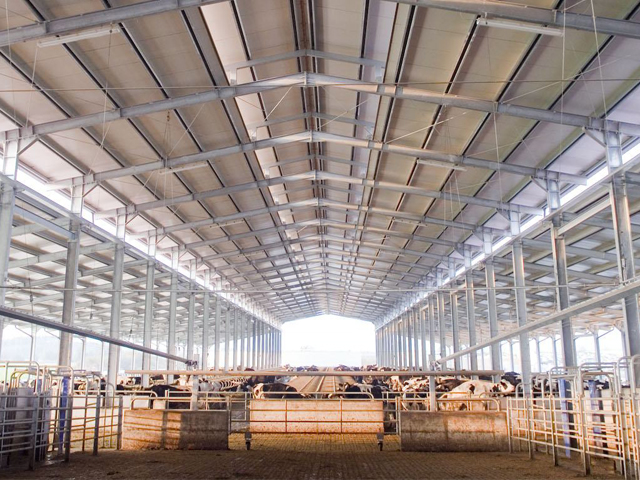 Nave ganadera moderna para vacuno diseñada para optimizar el bienestar animal y la ventilación natural