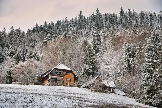 Vivienda rural protegida del frío extremo en entorno nevado Casa rural de madera en un paisaje nevado, rodeada de bosque, ideal para ilustrar cómo proteger una vivienda rural del frío extremo en invierno