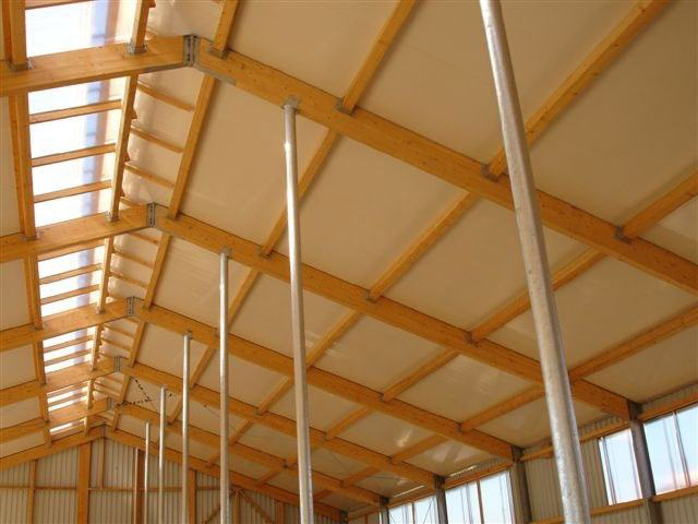 Nave ganadera para porcino construida con panel sándwich y estructura metálica resistente para un diseño eficiente