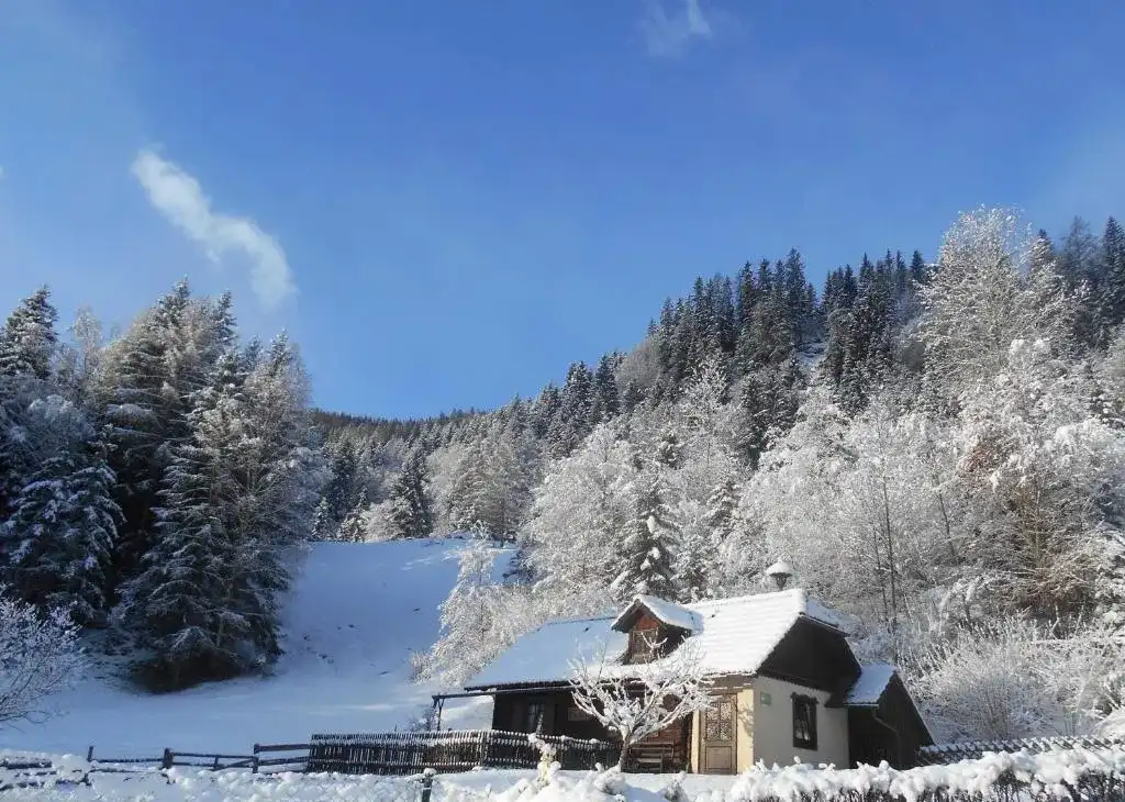 Casa rural en un valle nevado rodeado de árboles, representando la importancia de proteger una vivienda rural del frío extremo mediante aislamiento y mantenimiento adecuado