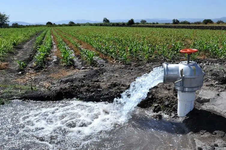 Bombeo de agua rural para riego agrícola en explotación del campo