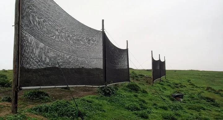 Sistemas de captación de agua rural mediante soluciones ambientales en el campo