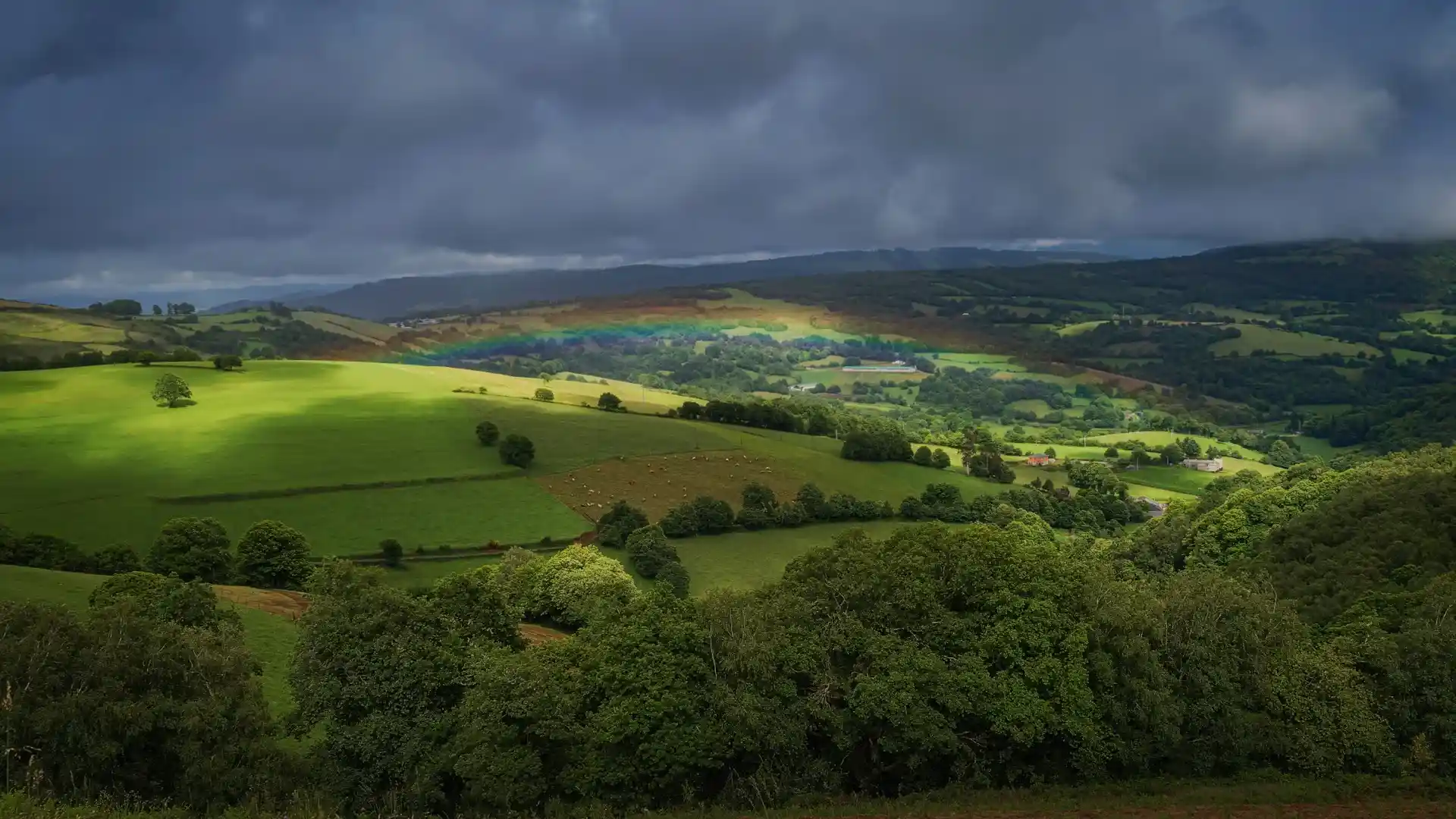 Paisaje rural en Galicia donde la normativa fija tamaño mínimo de parcela en suelo rústico