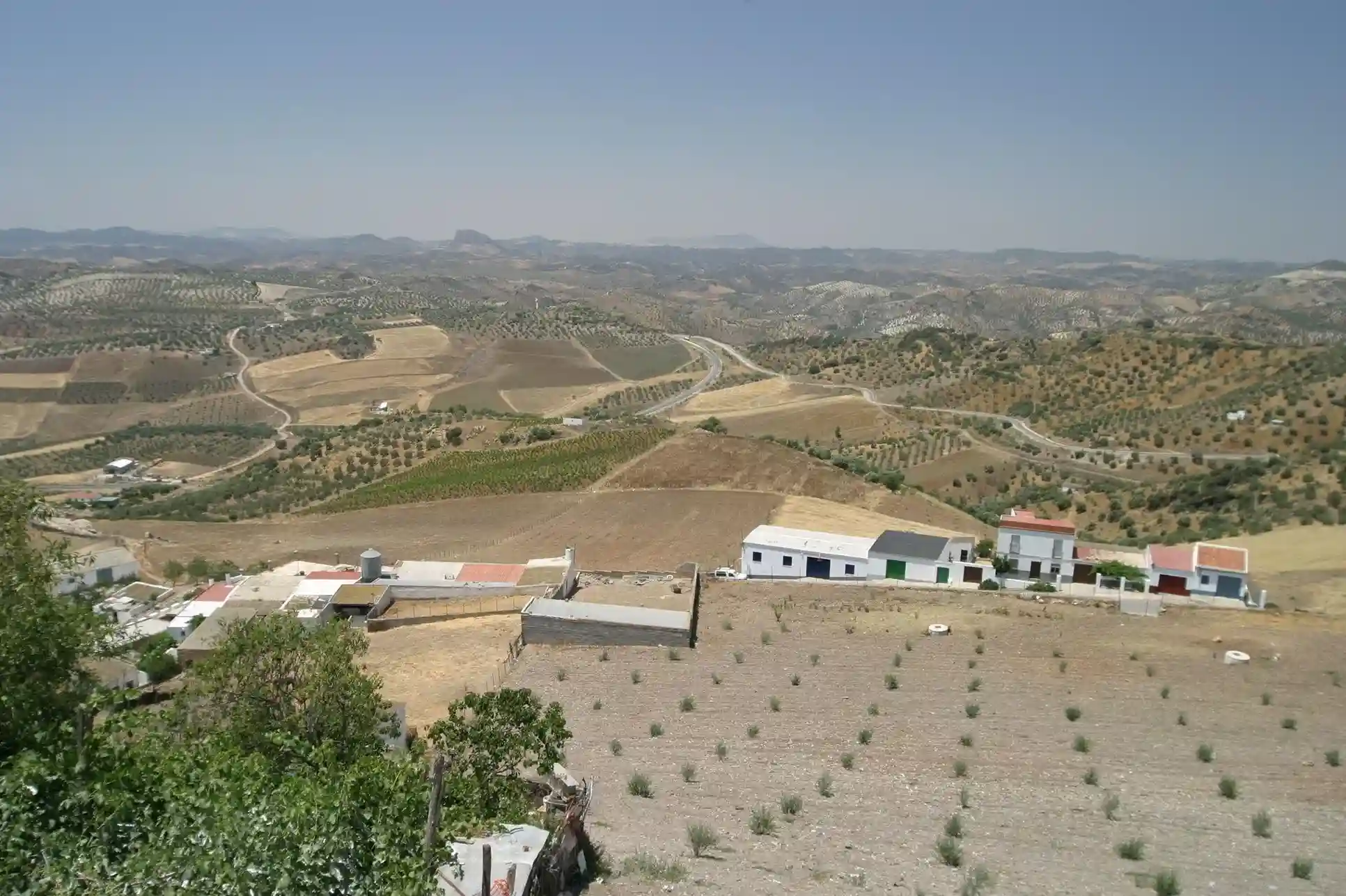 Vivienda rural en suelo rústico en Andalucía sujeta a parcela mínima edificable según normativa autonómica