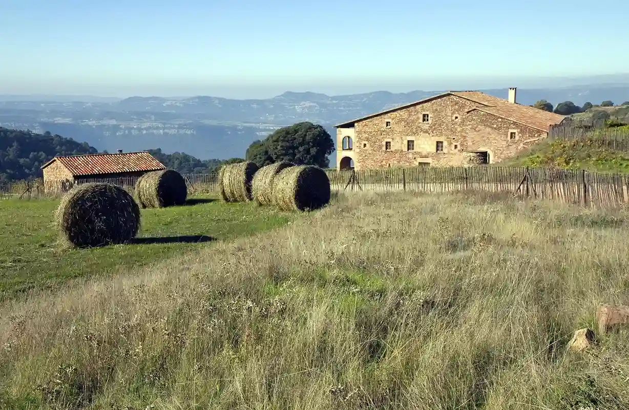 Terreno agrícola en Cataluña sujeto a parcela mínima en suelo rústico según legislación autonómica