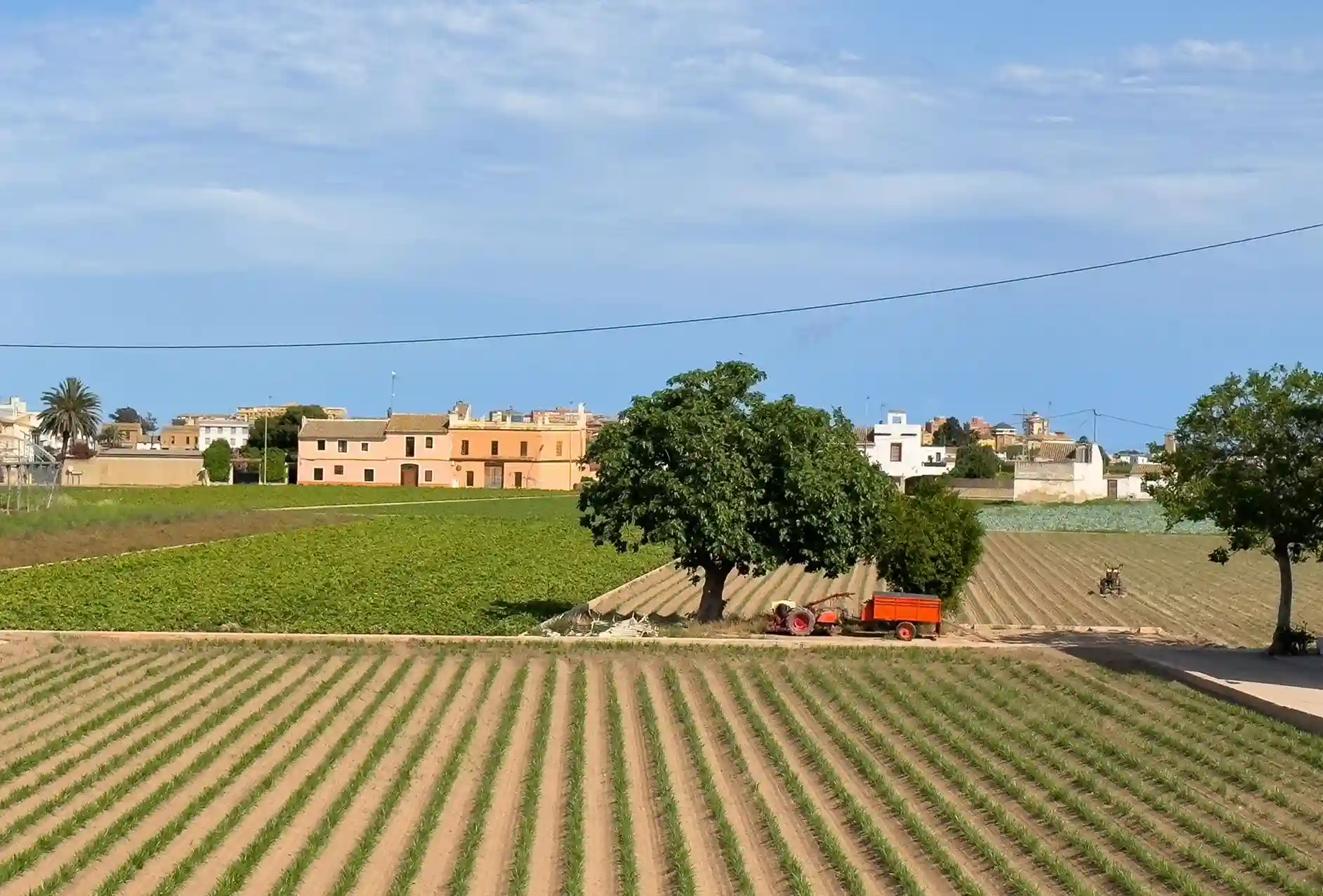 Parcela agrícola en suelo rústico en la Comunidad Valenciana con exigencia de superficie mínima edificable