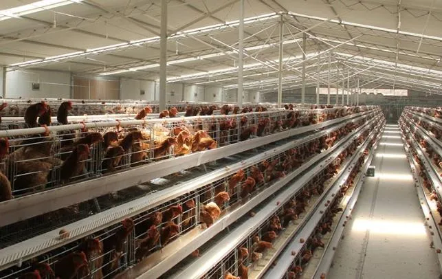 Sistema de ganadería vertical en avicultura con gallinas distribuidas en múltiples niveles dentro de una granja intensiva automatizada